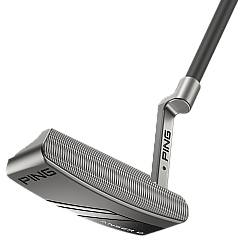 Ping Anser D 2024