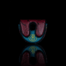 LAB Limited Major headcover PGA Championship