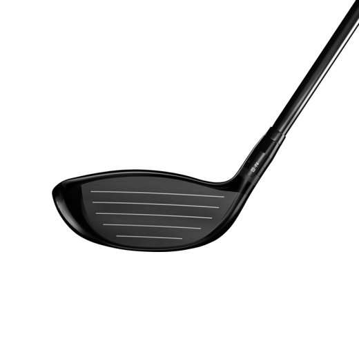 Titleist GTS 300 Mini - Driver (Custom)