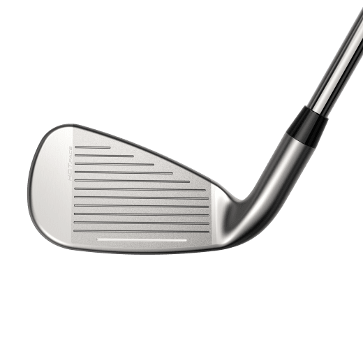 Cobra DS-Adapt MAX - 6 irons - Steel (custom)