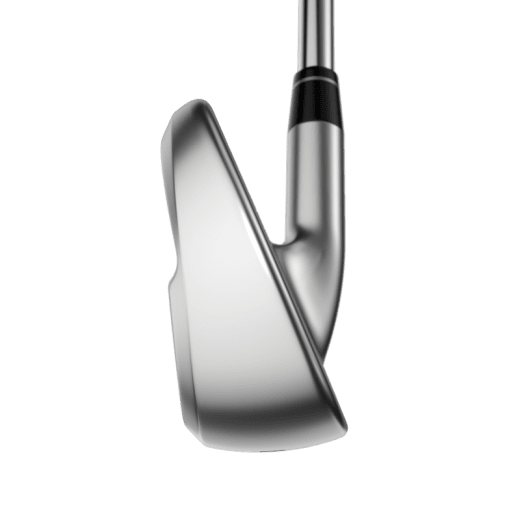 Callaway Apex Ai300 24 - 6 irons (custom)